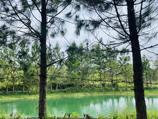 Park hill view hồ chính chủ thổ cư xd tự do 850tr