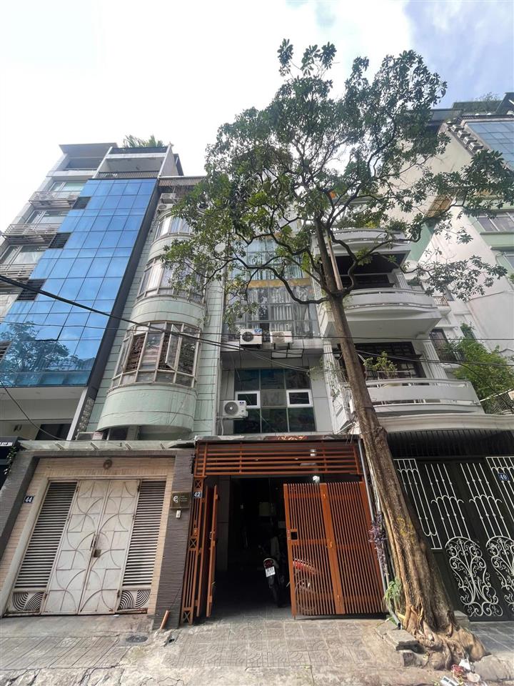 Văn phòng tại ba đình diện tích 25m² giá chỉ 3.5 triệu