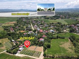 Bán gấp đất tại thạch định, thạch thành, thanh hóa, 550 triệu, 197 m2.  0826 218 ***