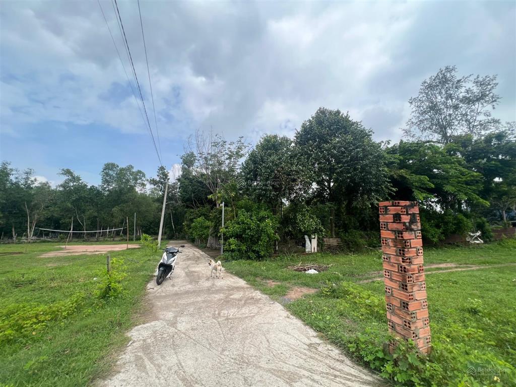 Thích hợp làm nhà vườn đường nhựa khu dân cư hiện hữu đã lên 250m2 đất ở