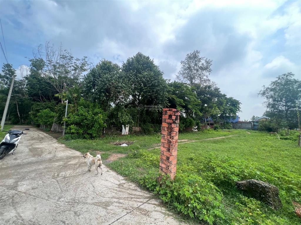 Thích hợp làm nhà vườn đường nhựa khu dân cư hiện hữu đã lên 250m2 đất ở