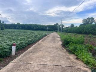 Cần bán lô đất diện tích 1750 m2 thuộc xã bình giã ( bình trung cũ) brvt