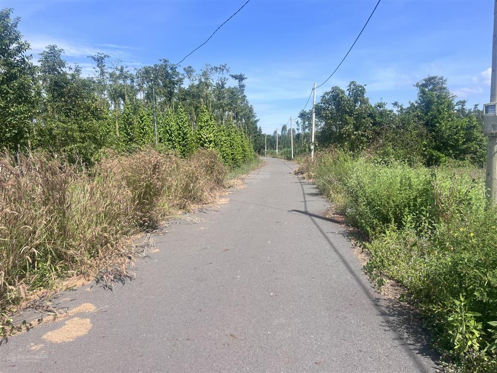 Chủ cần bán 5500m2 đất thuộc xã bình giã ( thuộc xã bình trung cũ )