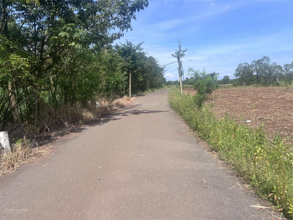 Chủ cần bán 5500m2 đất thuộc xã bình giã ( thuộc xã bình trung cũ )