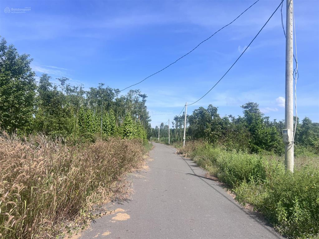 Chủ cần bán 5500m2 đất thuộc xã bình giã ( thuộc xã bình trung cũ )