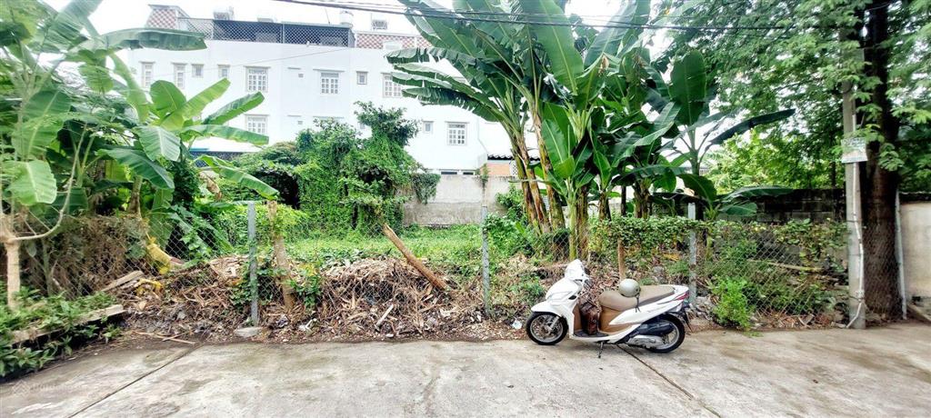 Đất ven sông 14x21m2 đường ô tô né nhau hiệp bình chánh, thủ đức