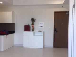 Cho thuê căn hộ diamond lotus riverside, q8 60m², 2pn 1wc trống