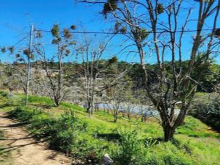 Đất view thông săn mây xuân thọ, đà lạt