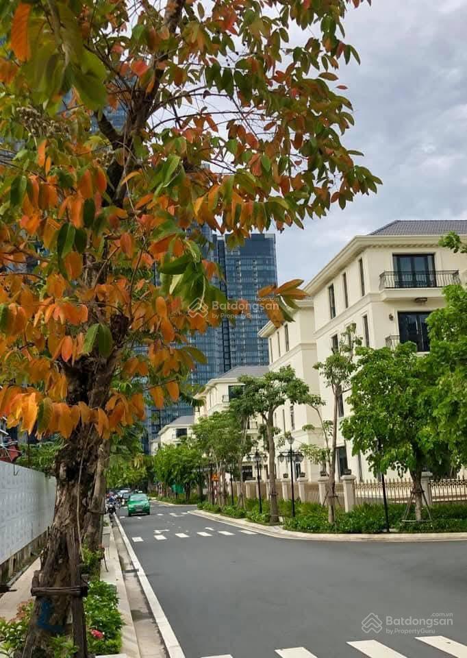 Kẹt tiền ngân hàng bán gấp biệt thự view công viên tại khu biệt thự bason