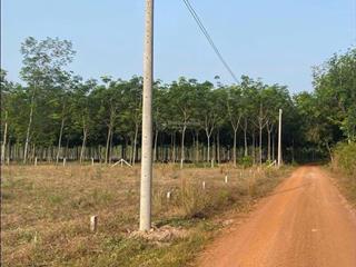 Chủ cần sang nhượng lại lô đất 66m mặt tiền đường