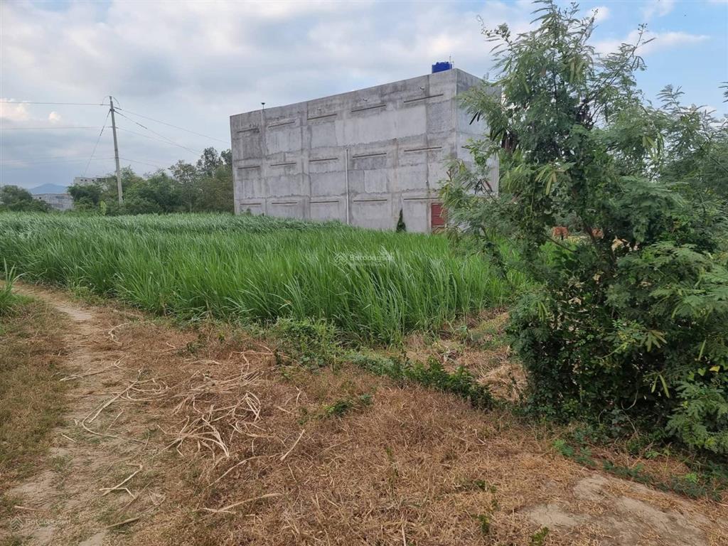 Chính chủ cần bán gấp 652,9 m2 đất vườn ngay thị trấn chợ lầu bắc bình giá 350tr cả lô