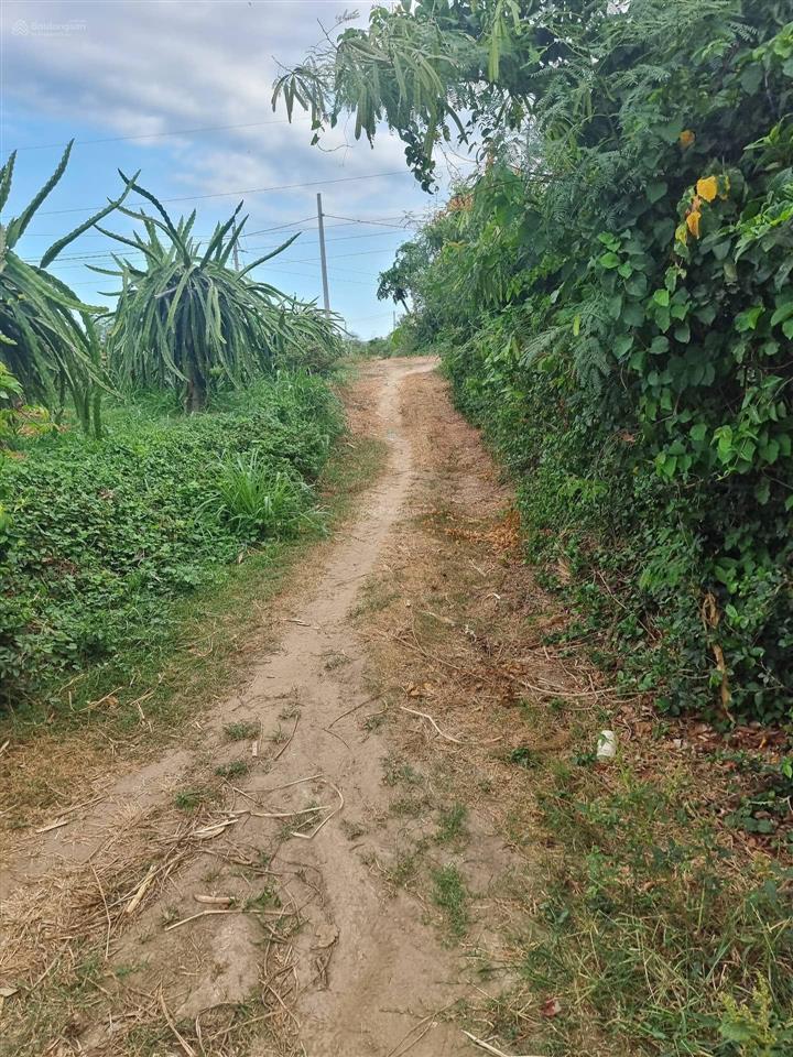 Chính chủ cần bán gấp 652,9 m2 đất vườn ngay thị trấn chợ lầu bắc bình giá 350tr cả lô