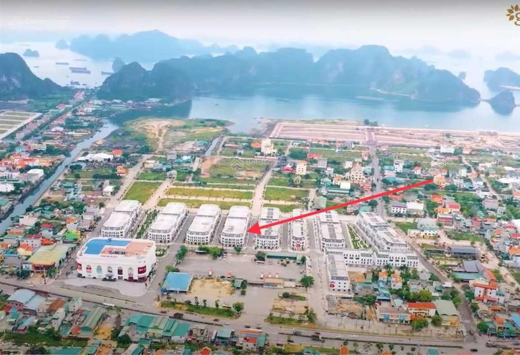 Chuyên bán  chuyển nhượng vinhomes cẩm phả giá tốt