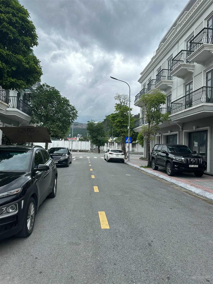Chuyên bán  chuyển nhượng vinhomes cẩm phả giá tốt
