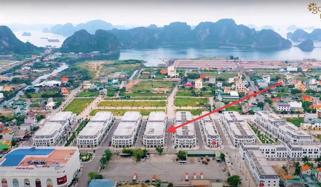 Chuyên bán  chuyển nhượng vinhomes cẩm phả giá tốt