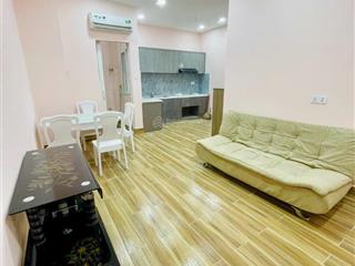 Bán căn hộ 70m2 đầy đủ nội thất 2pn chung cư tân phước plaza phường 7 quận 11