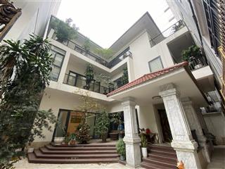 Biệt thự hoàng cầu 120m2x4t mt 12m sân thoáng trước sau thiết kế tân cổ điển làm vp tt spa 50tr