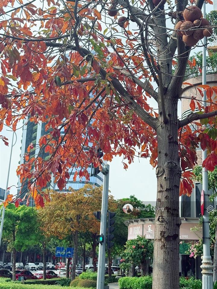 Full giỏ hàng 15 căn shop cần bán tại sala, anh chị tham khảo ưng căn nào nhắn em nhung ah