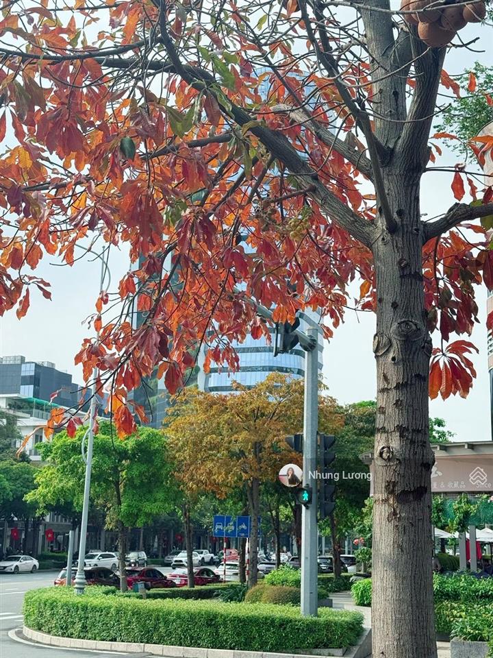 Full giỏ hàng 15 căn shop cần bán tại sala, anh chị tham khảo ưng căn nào nhắn em nhung ah