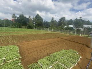 Bán đất hẻm 56 chi lăng, lộc sơn bảo lộc, sát ngay trung tâm bảo lộc, view cao thoáng cực đẹp