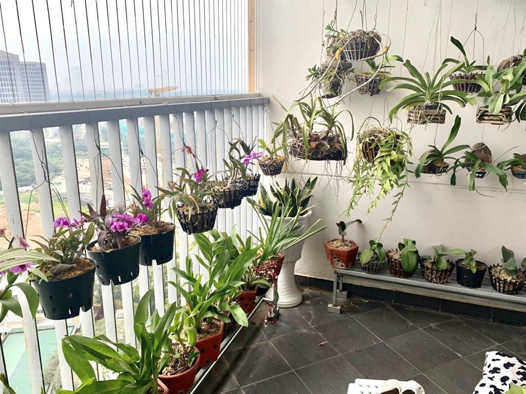 Danh sách căn hộ 2n, 3n, 4n golden palace mễ trì chính chủ từ ban quản lý chung cư.  0985 814 ***