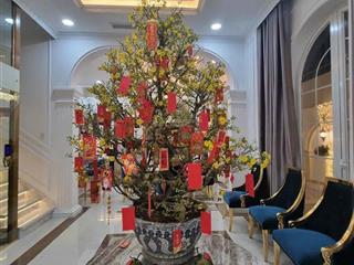 Mới tinh 100% có thang máy ! khu biệt thự đặng thùy trâm p13 bình thạnh 4 tầng 10x20m chỉ 34 tỷ tl