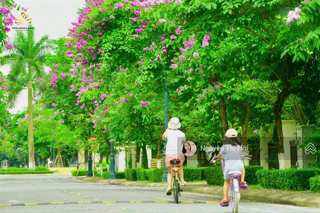 [home&land] tổng hợp quỹ căn liền kề nhà đẹp  giá tốt tại splendora ( mailand city hanoi)