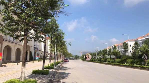 Tổng hợp các căn cho thuê tại shophouse vista nam an khánh có thang máy giá siêu hợp lý