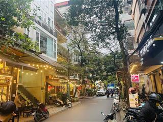 Cần bán nhà phố nguyên hồng 55m 4 tầng 4,5m mặt tiền vỉa hè phân lô ô tô tránh kinh doanh