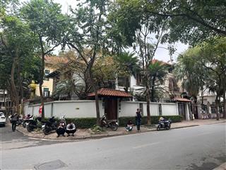Cho thuê biệt thự sân vườn phố hoàng quán chi, diện tích 200m2 x 4 tầng + sân 100m2,mt căn góc 20m