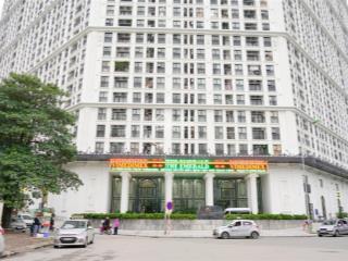 Cho thuê shophouse chân đế toà ct8 the emerald đình thôn, diện tích 235m2 x 2 tầng, mt 13m