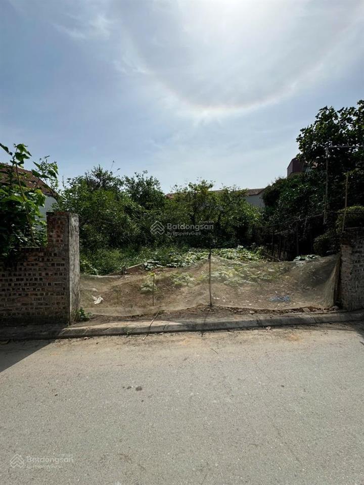 Chính chủ bán lô đất 76,6 m2 full thổ cư tại đông dư
