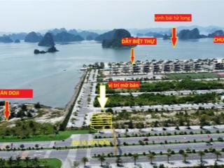 Cắt lô sâu 5 lô trục thông lk 38. bao giá rẻ nhất thị trường