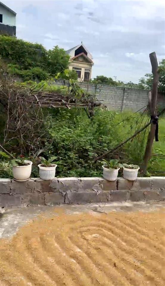 Bán mảnh đất siêu đẹp dt 95.2m2 nghiêm xá, nghiêm xuyên , thường tín, hà nội.