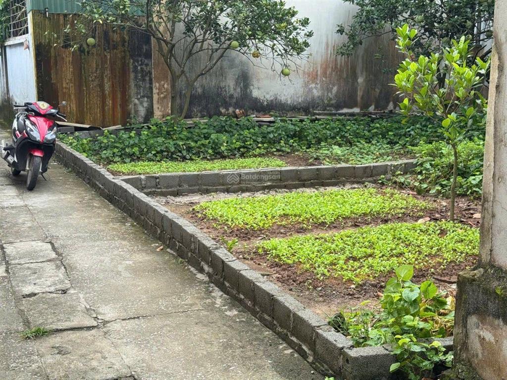 Bán lô đất dt 134m2( nguyễn trãi ) nay thuộc xã thượng phúc thường tín hà nội