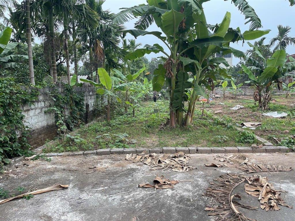 Bán lô đất dt 92.7m2 siêu đẹp tại bạch hạ  phú xuyên hà nội.