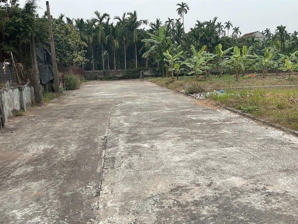 Bán lô đất dt 92.7m2 siêu đẹp tại bạch hạ  phú xuyên hà nội.