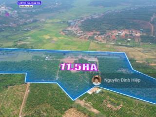 Bán đất rẫy đắk nông nguồn thu khủng 11.5ha đất đẹp sổ riêng 3 nhà ao tưới điện 3 pha