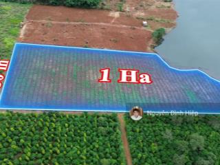 Bán đất view hồ  giá tốt  nhân cơ, lâm đồng