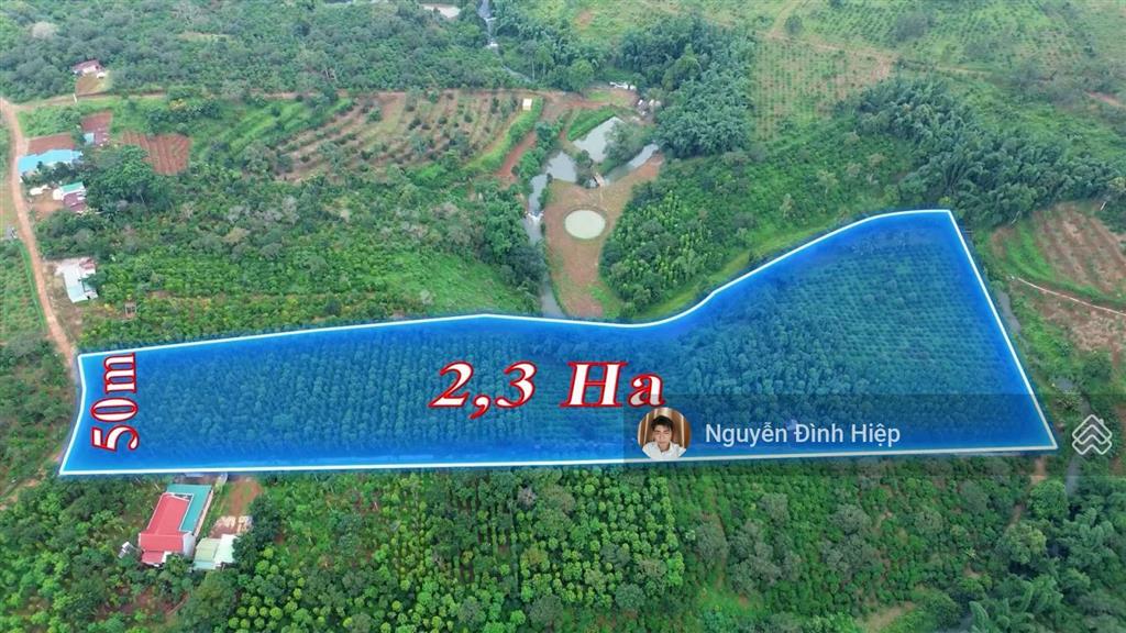 Bán đất rẫy cà phê xen tiêu 2.3 ha ôm view suối đẹp nguồn thu trên 10 tấn cà phê tiêu