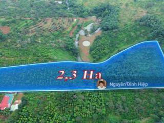 Bán đất rẫy cà phê xen tiêu 2.3 ha ôm view suối đẹp nguồn thu trên 10 tấn cà phê tiêu