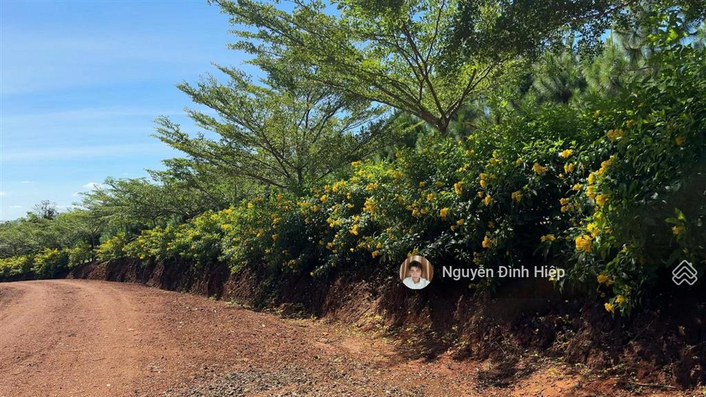 Bán đất view hồ đẹp đến nao lòng, cách ql14 1km, xã đắk ru, đắk r'lấp, đắk nông