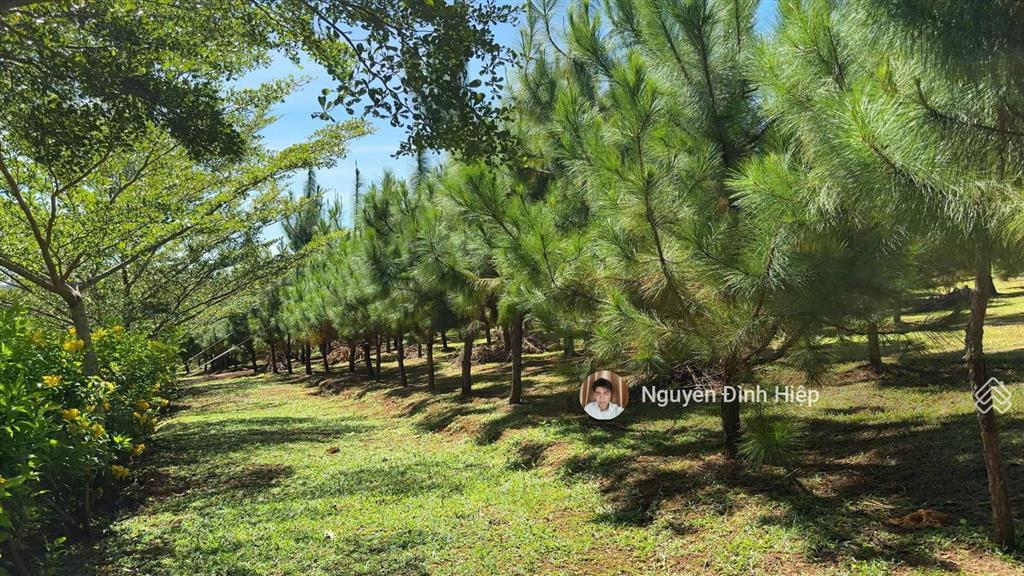 Bán đất view hồ đẹp đến nao lòng, cách ql14 1km, xã đắk ru, đắk r'lấp, đắk nông