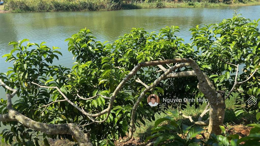 Bán đất view hồ đẹp đến nao lòng, cách ql14 1km, xã đắk ru, đắk r'lấp, đắk nông