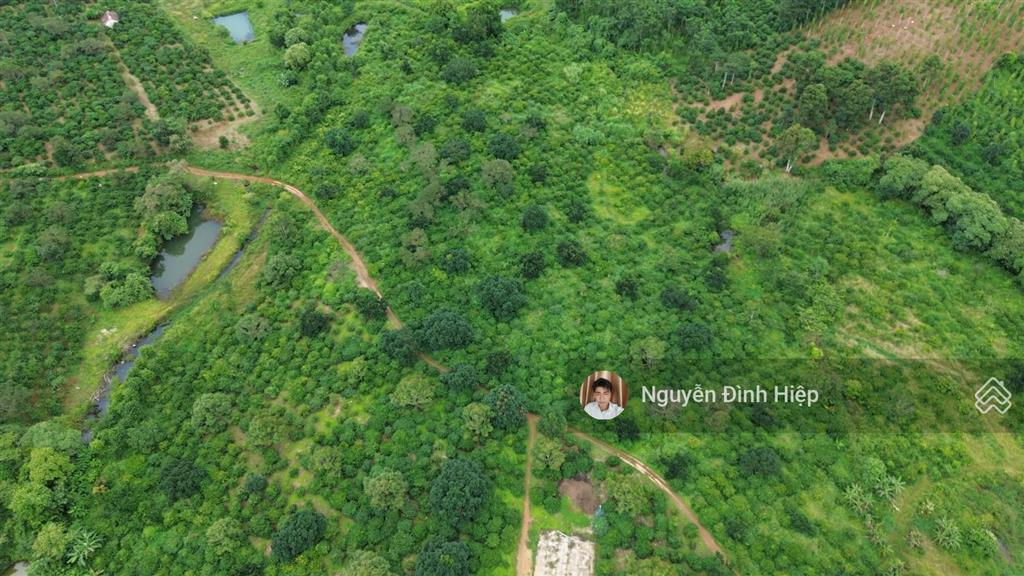 Bán 4.6ha đất gần trung tâm  cách nhựa 100m  khu dân cư