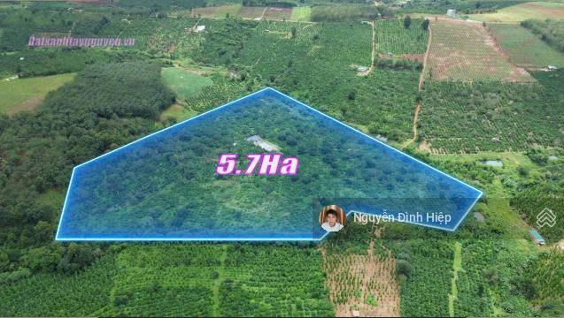 Bán 4.6ha đất gần trung tâm  cách nhựa 100m  khu dân cư