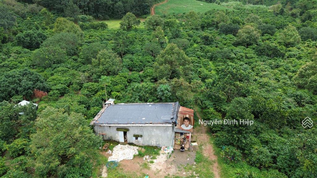 Bán 4.6ha đất gần trung tâm  cách nhựa 100m  khu dân cư