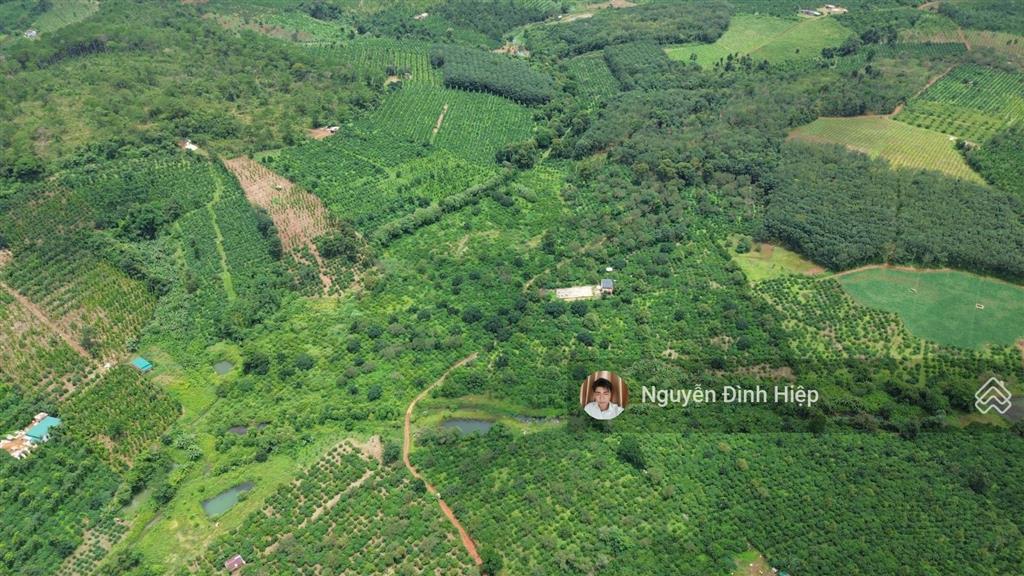 Bán 4.6ha đất gần trung tâm  cách nhựa 100m  khu dân cư