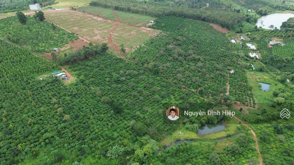 Bán 4.6ha đất gần trung tâm  cách nhựa 100m  khu dân cư