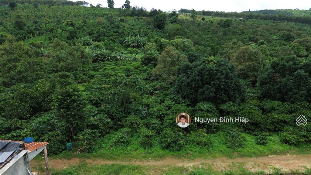 Bán 4.6ha đất gần trung tâm  cách nhựa 100m  khu dân cư